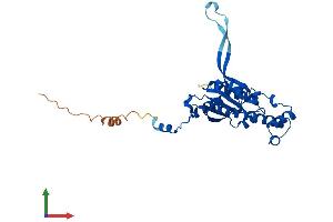 AlphaFold protein structure predicition of Human Recombinant THG1L Protein, UniprotID Q9NWX6