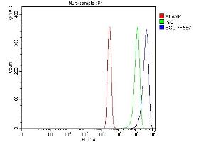 Flow Cytometry analysis of SiHa cells using anti-CD147/Emmprin antibody (ABIN7599999). (CD147 anticorps  (AA 138-323))