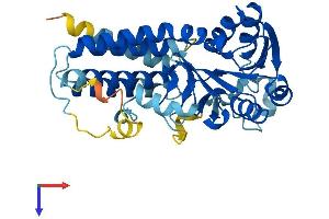 AlphaFold protein structure predicition of Human Recombinant EIF2B2 Protein, UniprotID P49770