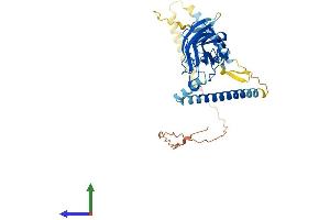 AlphaFold protein structure predicition of Human Recombinant SUN5 Protein, UniprotID Q8TC36