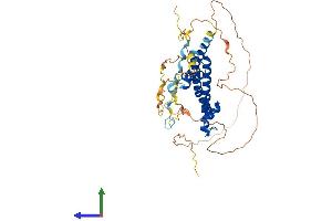 AlphaFold protein structure predicition of Human Recombinant SUPT7L Protein, UniprotID O94864