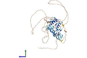 AlphaFold protein structure predicition of Human Recombinant ZNF280A Protein, UniprotID P59817