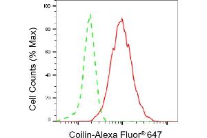 Flow cytometric analysis of Coilin expression in HepG2 cells using Coilin antibody (ABIN7798119), 1:2,000). (Recombinant Coilin anticorps)