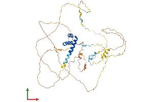 AlphaFold protein structure predicition of Human Recombinant HLX Protein, UniprotID Q14774