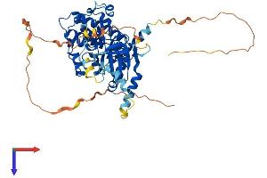 AlphaFold protein structure predicition of Human Recombinant STK32C Protein, UniprotID Q86UX6