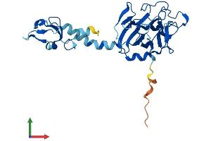 AlphaFold protein structure predicition of Human Recombinant RFPL4AL1 Protein, UniprotID F8VTS6