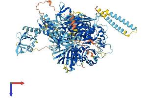AlphaFold protein structure predicition of Human Recombinant PLCG2 Protein, UniprotID P16885