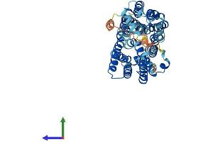 AlphaFold protein structure predicition of Mouse Recombinant Slc17a4 Protein, UniprotID Q5NCM1