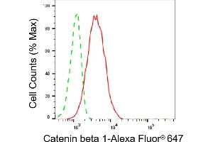 Flow cytometric analysis of Catenin beta 1 expression in C2C12 cells using Catenin beta 1 antibody (ABIN7797931), 1:2,000).