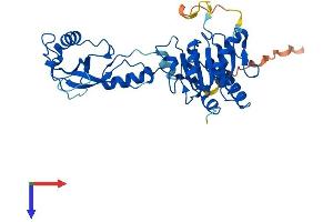 AlphaFold protein structure predicition of Human Recombinant ADAT3 Protein, UniprotID Q96EY9