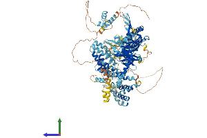 AlphaFold protein structure predicition of Human Recombinant USP28 Protein, UniprotID Q96RU2