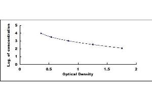 Typical standard curve