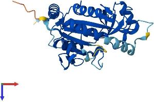 AlphaFold protein structure predicition of Human Recombinant MTAP Protein, UniprotID Q13126