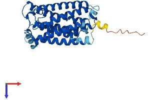 AlphaFold protein structure predicition of Mouse Recombinant Elovl1 Protein, UniprotID Q9JLJ5
