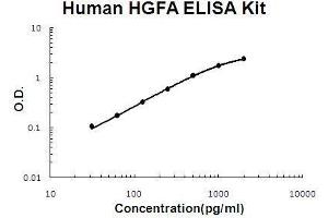 Human HGFA PicoKine ELISA Kit standard curve (HGFA Kit ELISA)