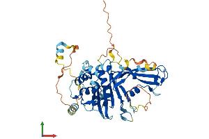 AlphaFold protein structure predicition of Mouse Recombinant Usp27x Protein, UniprotID Q8CEG8
