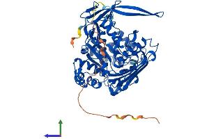 AlphaFold protein structure predicition of Mouse Recombinant Isyna1 Protein, UniprotID Q9JHU9