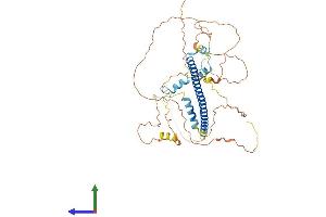 AlphaFold protein structure predicition of Human Recombinant CREB3L3 Protein, UniprotID Q68CJ9