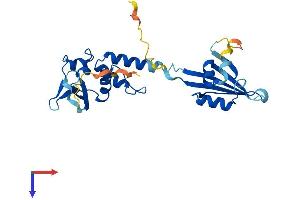 AlphaFold protein structure predicition of Mouse Recombinant Kctd1 Protein, UniprotID Q5M956
