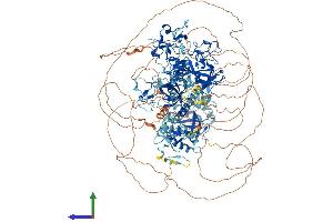 AlphaFold protein structure predicition of Mouse Recombinant Nsd2 Protein, UniprotID Q8BVE8