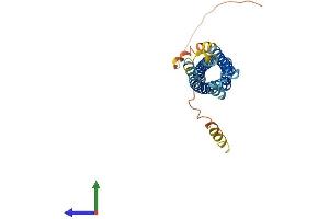 AlphaFold protein structure predicition of Human Recombinant MS4A7 Protein, UniprotID Q9GZW8