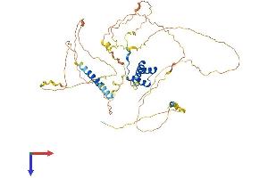 AlphaFold protein structure predicition of Human Recombinant UNCX Protein, UniprotID A6NJT0