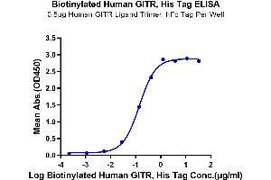 Immobilized Human GITR Ligand Trimer, hFc Tag at 5 μg/mL (100 μL/well) on the plate.