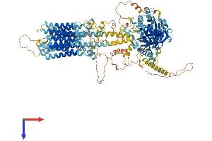 AlphaFold protein structure predicition of Mouse Recombinant Adcy8 Protein, UniprotID P97490
