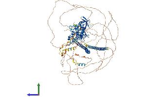 AlphaFold protein structure predicition of Human Recombinant TP53BP2 Protein, UniprotID Q13625