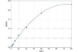 A typical standard curve
