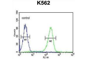 CXCR3 Antibody (Center) flow cytometric analysis of K562 cells (right histogram) compared to a negative control cell (left histogram). (CXCR3 anticorps  (Middle Region))