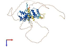 AlphaFold protein structure predicition of Mouse Recombinant Nacc1 Protein, UniprotID Q7TSZ8