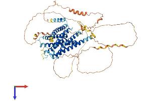 AlphaFold protein structure predicition of Human Recombinant GPR153 Protein, UniprotID Q6NV75