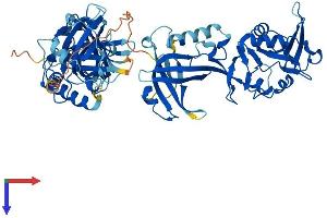 AlphaFold protein structure predicition of Human Recombinant POT1 Protein, UniprotID Q9NUX5