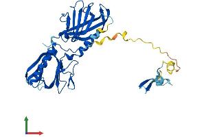 AlphaFold protein structure predicition of Mouse Recombinant Bbs5 Protein, UniprotID Q9CZQ9