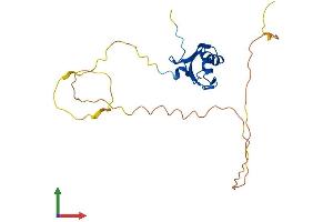 AlphaFold protein structure predicition of Mouse Recombinant Rbm24 Protein, UniprotID D3Z4I3