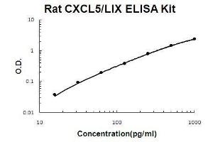 Rat CXCL5 PicoKine ELISA Kit standard curve (CXCL5 Kit ELISA)