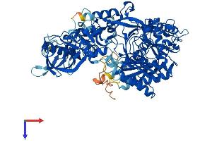 AlphaFold protein structure predicition of Human Recombinant AGO4 Protein, UniprotID Q9HCK5