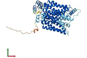 AlphaFold protein structure predicition of Mouse Recombinant Slc2a4 Protein, UniprotID P14142