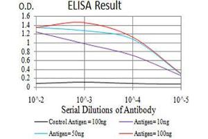 Black line: Control Antigen (100 ng),Purple line: Antigen (10 ng), Blue line: Antigen (50 ng), Red line:Antigen (100 ng) (RAD21 anticorps  (AA 287-403))