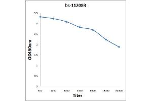 Antigen: 2 µg/100 µL  Primary: Antiserum, 1:500, 1:1000, 1:2000, 1:4000, 1:8000, 1:16000, 1:32000;  Secondary: HRP conjugated Rabbit Anti-Goat IgG at 1: 5000;  TMB staining Read the data in Microplate Reader by 450nm.