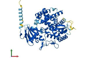 AlphaFold protein structure predicition of Human Recombinant CYP8B1 Protein, UniprotID Q9UNU6
