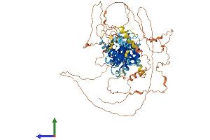 AlphaFold protein structure predicition of Mouse Recombinant Npas4 Protein, UniprotID Q8BGD7