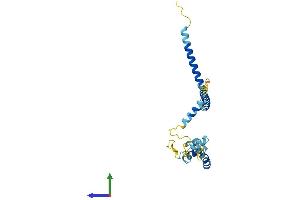 AlphaFold protein structure predicition of Human Recombinant CCDC124 Protein, UniprotID Q96CT7