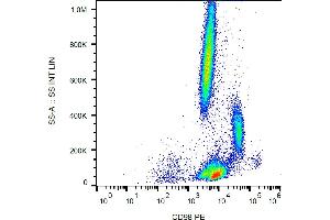 Flow cytometry analysis (surface staining) of human peripheral blood cells with anti-human CD98 (MEM-108) PE. (SLC3A2 anticorps  (PE))