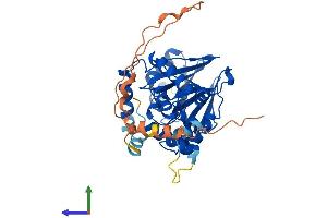 AlphaFold protein structure predicition of Human Recombinant PNKD Protein, UniprotID Q8N490