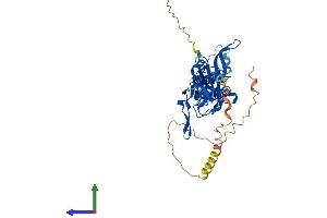 AlphaFold protein structure predicition of Human Recombinant KCNJ4 Protein, UniprotID P48050