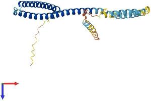 AlphaFold protein structure predicition of Human Recombinant CHMP4C Protein, UniprotID Q96CF2