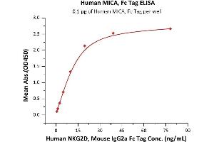 Immobilized Human MICA, Fc Tag (ABIN6973157) at 1 μg/mL (100 μL/well) can bind Human NKG2D, Mouse IgG2a Fc Tag (ABIN6973178) with a linear range of 0. (MICA Protein (AA 24-308) (Fc Tag))