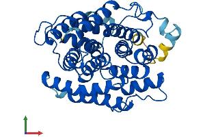 AlphaFold protein structure predicition of Human Recombinant ADPRHL1 Protein, UniprotID Q8NDY3